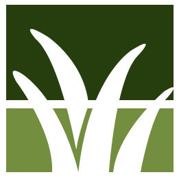 Blaine Lawn Clean Up