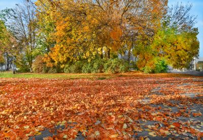 Leaf Mulching Benefits