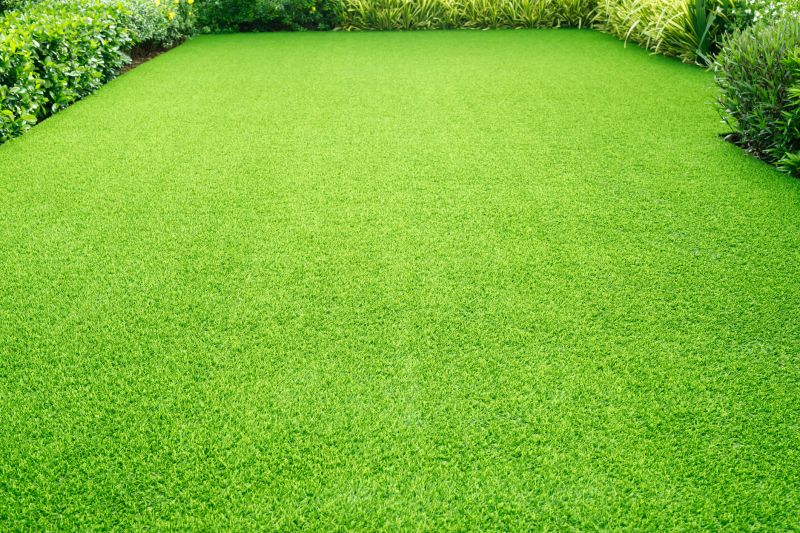 Healthy Lawn After Clean-Up