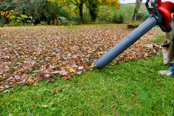Leaf Vacuuming Service in Blaine