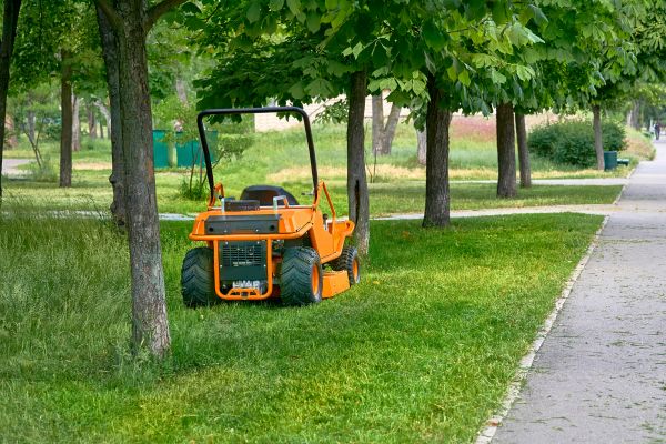 Cost of Landscaping Cleanup Service in Blaine