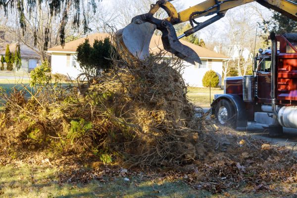 Storm Debris Removal in Blaine
