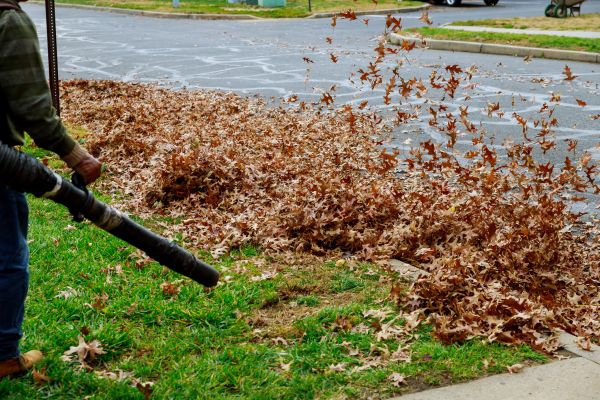 Garden Leaf Removal in Blaine