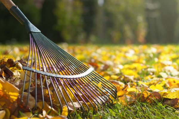 Seasonal Lawn Maintenance in Blaine