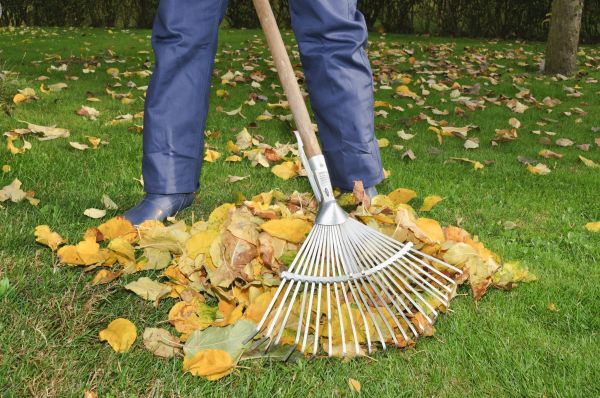 Outdoor Space Clearing