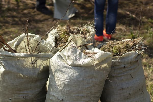 Brush Cleaning Service in Blaine