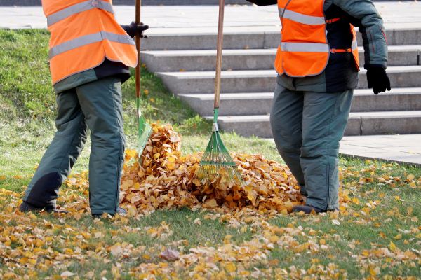 Leaf Hauling Service