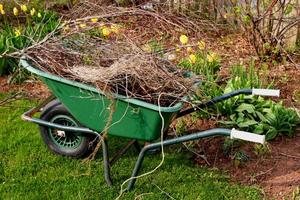 Lawn Waste Removal in Blaine