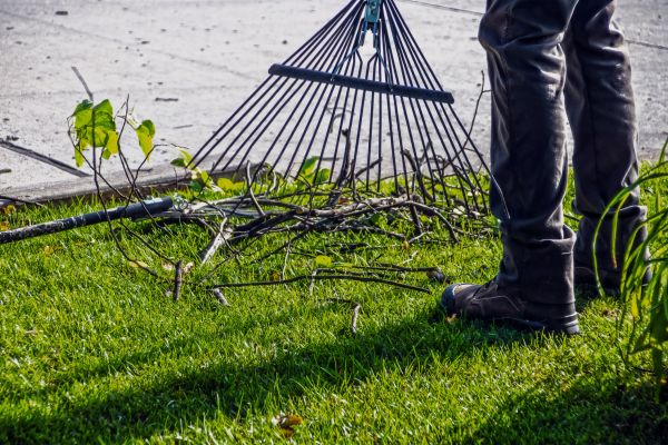 Cost of Yard Debris Cleanup in Blaine