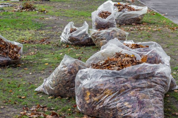 Leaf Pile Disposal in Blaine