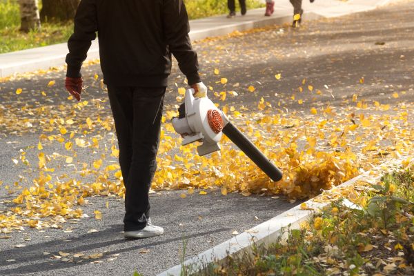 Commercial Leaf Removal in Blaine